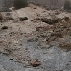 Final Scene
