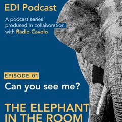 The elephant in the room | Can you see me – International Day of Persons with Disability