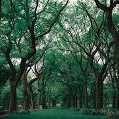 Surah Al Zalzalah 100 Times (The Earthuake)