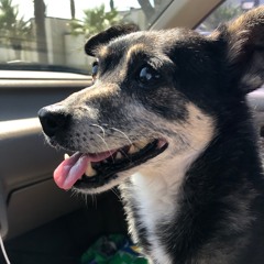 LANDR - Between Two Worlds(VariSpeed Slowed Down) - Balanced - Medium