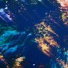 Marsh - Aloft