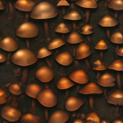 Dark Shiny Shrooms