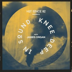 Hot Since 82 Presents: Knee Deep In Sound with James Organ