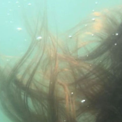 venturing - vulture city (slowed)