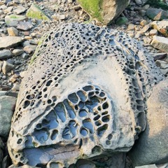 3bags full @ HNS 5  "___________" "Huffmaster" "Aniconic"