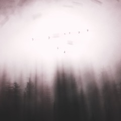 Call of The Forgotten