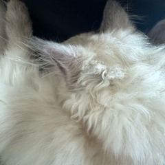 you’re not alone (interlude)