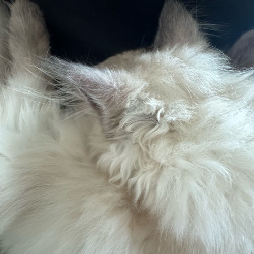 you’re not alone (interlude)