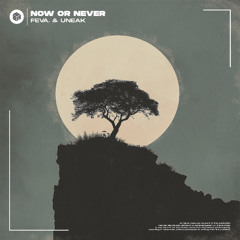 feva. & Uneak - Now or Never