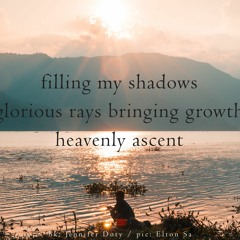 haiku #480: filling my shadows / glorious rays bringing growth / heavenly ascent