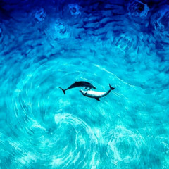 Azam Ali - Ocean (Slow Version)