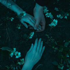 Belonging — Birdcatcher