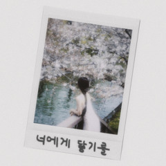 너에게 닿기를