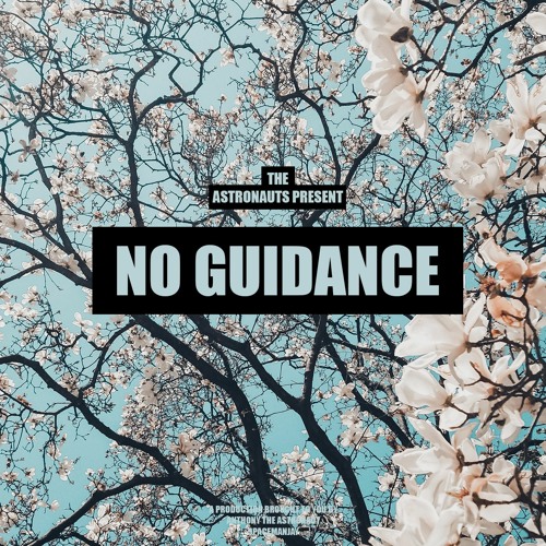 No Guidance