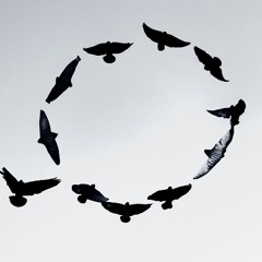 Renew