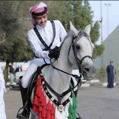 الا يا ونتي - محمد الرويس