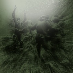 Rumble In The Jungle