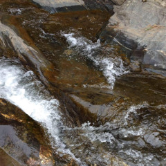 Nonintrusive Thoughts