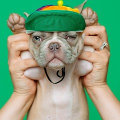 Arcade Junky (Live Mix)