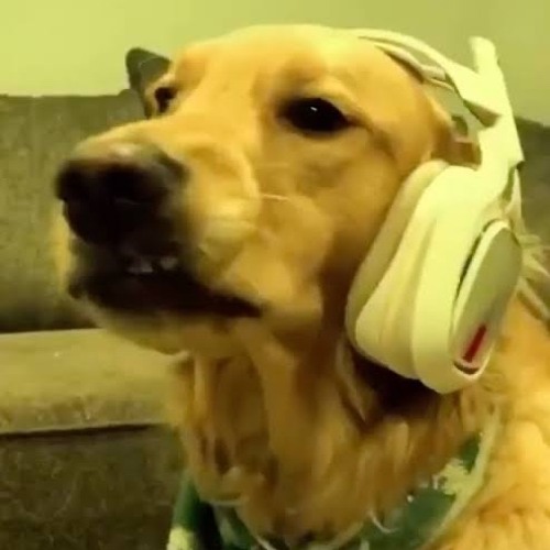 DAMN! SAGE HAS GOT IT BAD: now we listen to ANYthing I GUESS