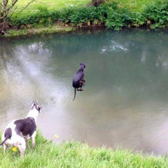 coolfred ice vinyl only house mix #1