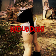 REDUNDANT prod Geam
