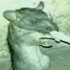 Juice WRLD - Unreleased & Leaks Collective  2025