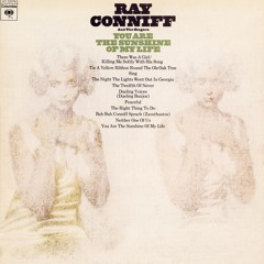 The Night The Lights Went Out In Georgia (Album Version)