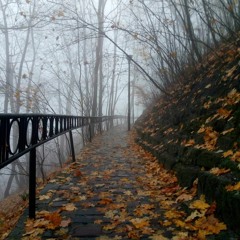 Осінь / Autumn