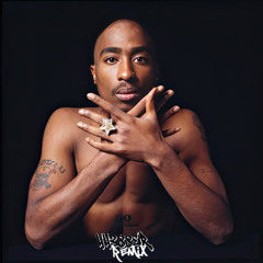 2Pac - Fake Ass Bitches (44388er Remix)