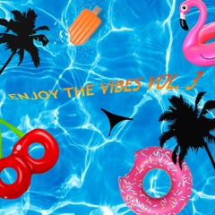 ENJOY THE VIBES VOL. 3