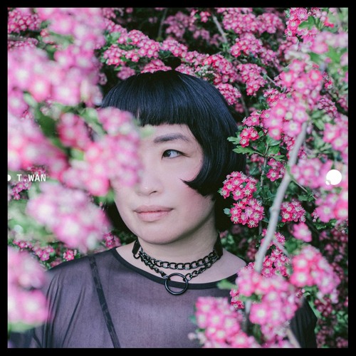 PMIX022 | T.Wan