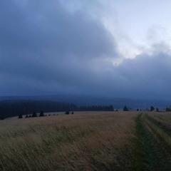 Bludička klamná planá