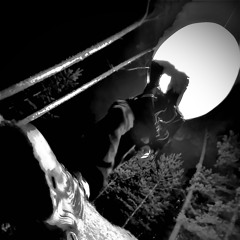 Прекрасная f.Flowwawe  [p.spooky X neverhated]