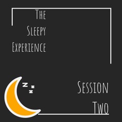 The Sleepy Experience Session 2