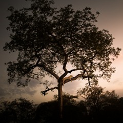 Afro Ballad Ep 3 Sample Mix