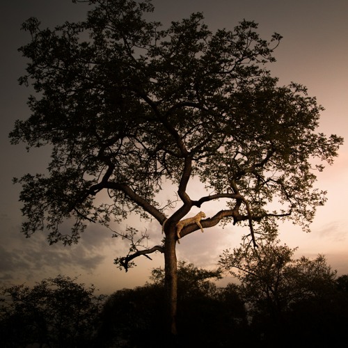 Afro Ballad Ep 3 Sample Mix