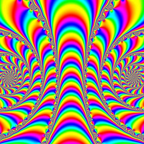 DNB Seshons 11