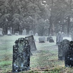 NZEN7 & Geomevtrix - Soul Digger