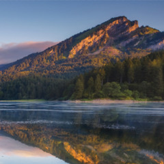 Sleepwalking Through My Life