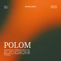 Polom -Snippet-  (Original Mix)
