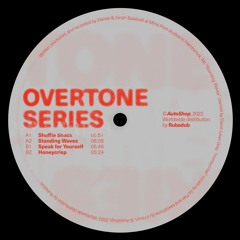 Overtone Series - Standing Waves (Bullfrog Mix)