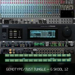 Genotype​/​Just Jungle - G Skool 12
