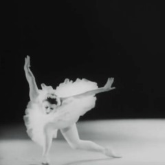 The Immortal Swan