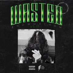 $NOWGXTHAM - WASTED