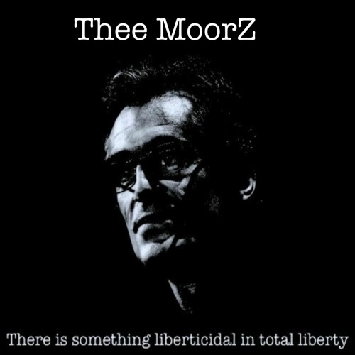 There is Something Liberticidal in Total Liberty
