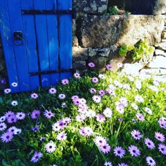 Priscilla (feat. Jennifer Henry)