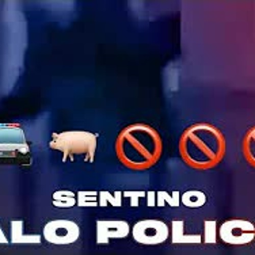 Sentino Halo Policja Prod Getmony By Ig Nino3153