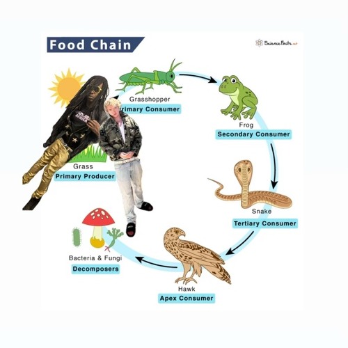 Stream FoodChain prod ok by Jeunemorty | Listen online for free on