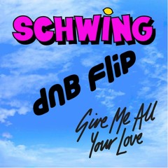 SHWING - GIVE ME YOUR LOVE DNB FLIP